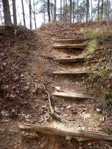 trail steps
